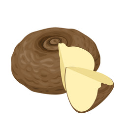 tapioca prebiotic fiber